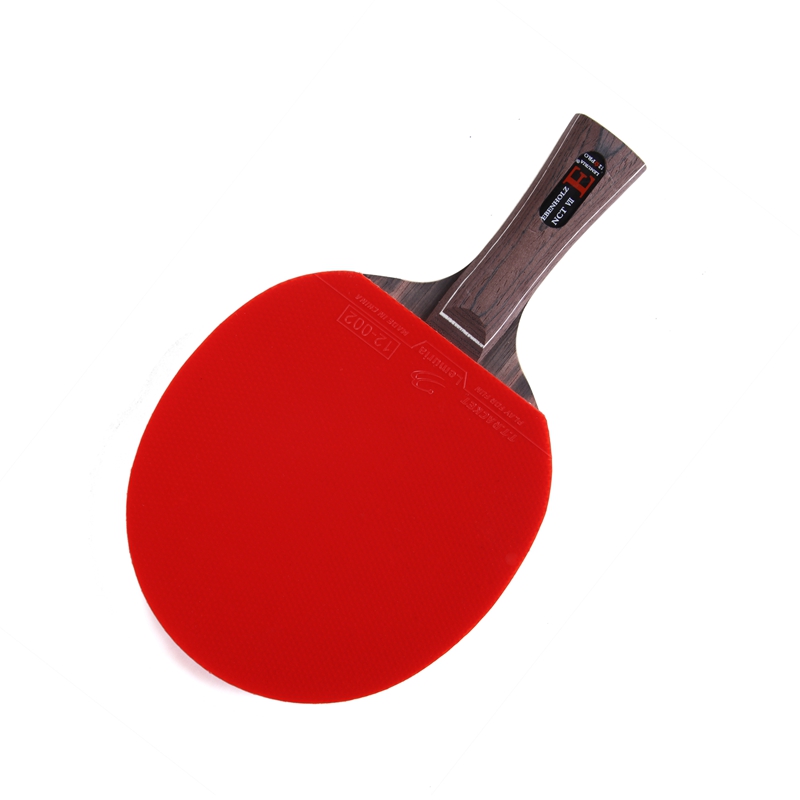 Lemuria EBENHOLZ-Table Tennis  - Table Tennis Padel ulasan dan harga
