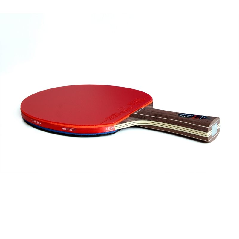 Lemuria EBENHOLZ-Table Tennis  - Table Tennis Padel ulasan dan harga