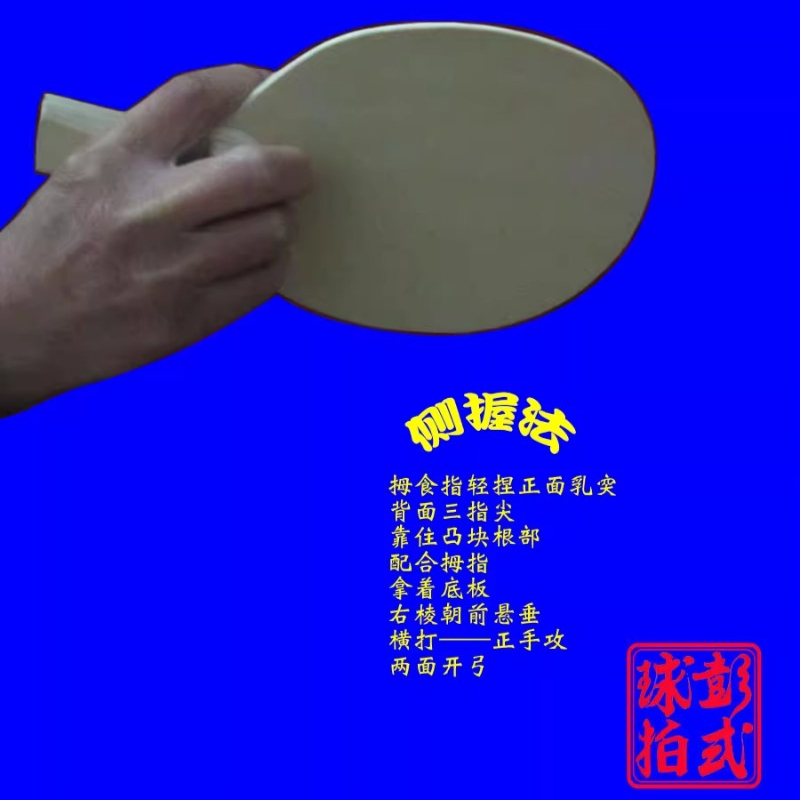 Chinese/Japanese Style Table T - Table Tennis Xiom ulasan dan harga