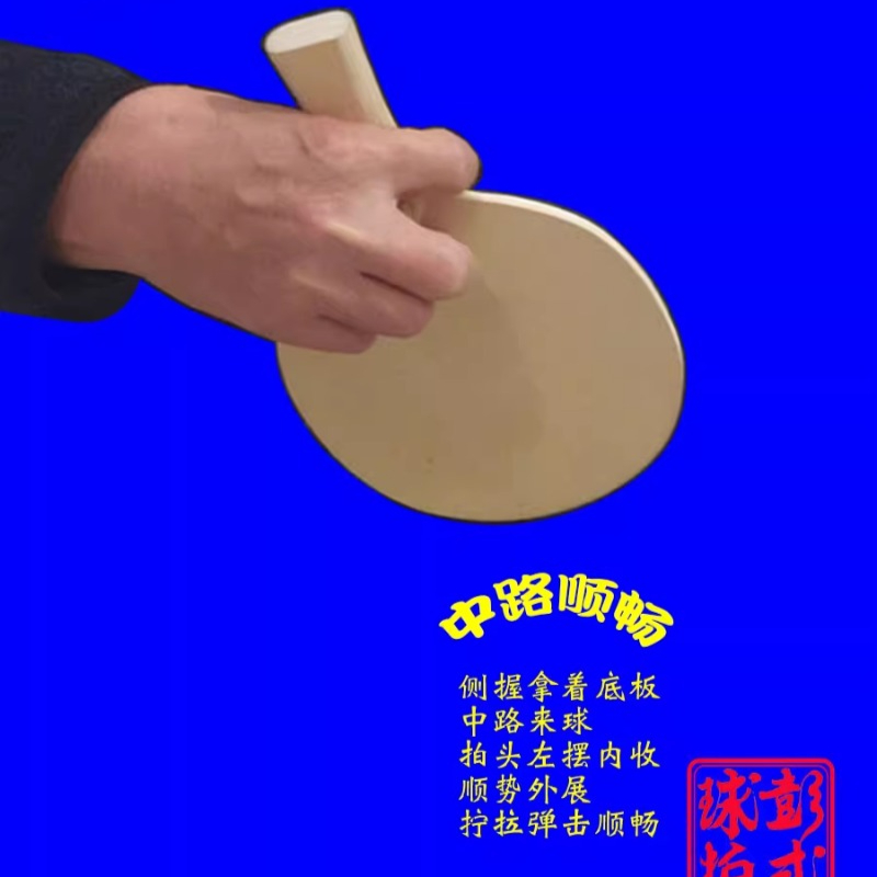 Chinese/Japanese Style Table T - Table Tennis Xiom ulasan dan harga