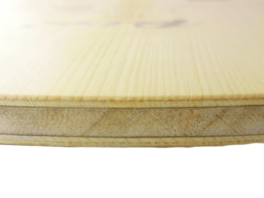 PALIO 8603 Carbon Titanium Tab - Table Tennis Padel ulasan dan harga